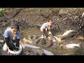 Wild Lake Fishing | Bare Hand Fishing Mastery | Watch Skilled Fishermen Catch Big Fish In Wild Lakes
