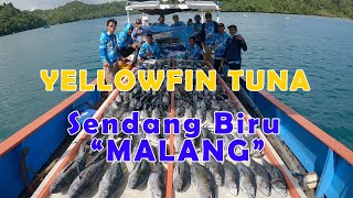 TRIP MENCARI CINTA TUNA ke Sendang Biru Malang Selatan menggunakan kapal nelayan