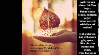 Her Şey Ondan (Şiir: İbrahim Sayar - Seslendiren: M. Mehtap Türk Ak)