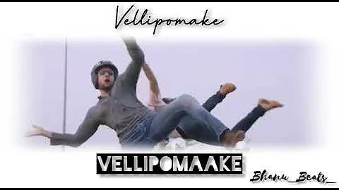 vellipomaake