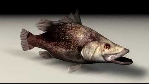 Resident Evil 5. Monsters, Animals, rigged (.c4d)