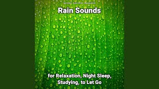 Rain Sounds Pt. 22