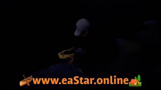 Watching Chasing Dory diving at night time!