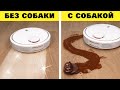 Жизнь с собакой vs Жизнь без собаки