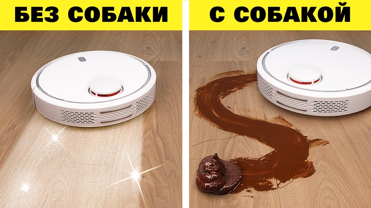 Жизнь с собакой vs Жизнь без собаки