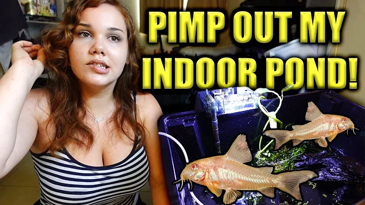 Preparing My Fish For Vacation!