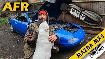 Hoe breedband AFR te installeren - Mazda MX5 Miata Turbo Build EP3