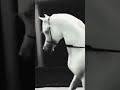 اشرقي يا شمس من غرب خليها تقوم