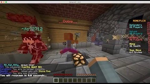 Mineplex Castle Siege: Hacker