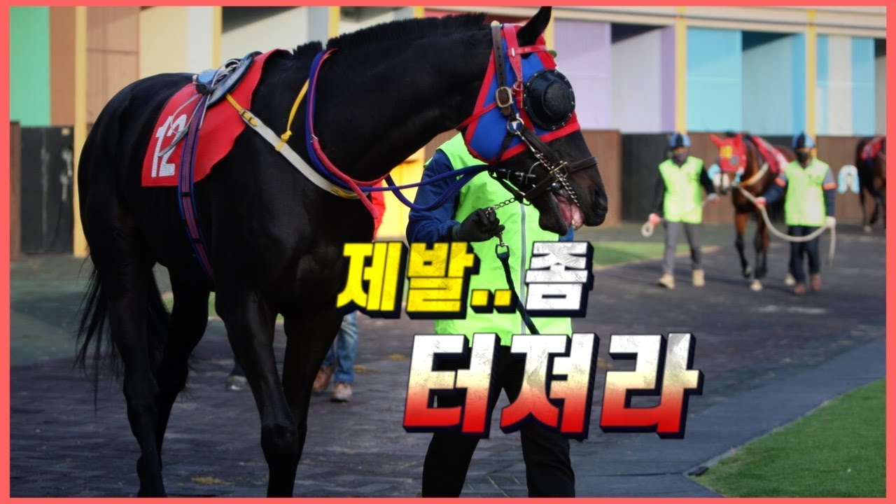 1인자의 가려진 아쉬운 경주마 -나올스나이퍼-