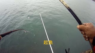 澳底漁港 釣況分享 Wild fishing in Taiwan. [嘟嘟釣魚狂#243] 2023/12/04