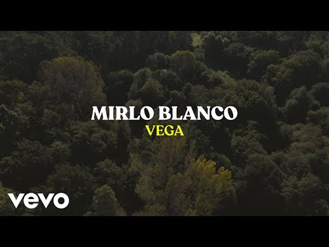 Vega - Mirlo Blanco