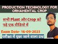 सभी Plant को पढ़े एक वीडियो में|Production Technology For Ornamental Crop Bsc Agriculture 4th Sem.