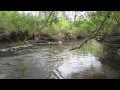 Релаксация  Лечебные Звуки Воды (Relax. Water. Spring. River)