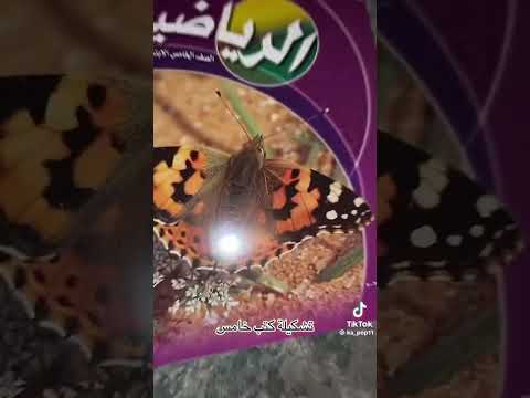 تشكيلت كتب صف خامس