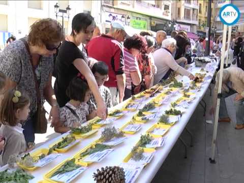 Exposición de plantas y setas de la Semana de las Ciencias