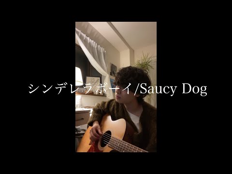 シンデレラボーイ/Saucy Dog 弾き語りcover