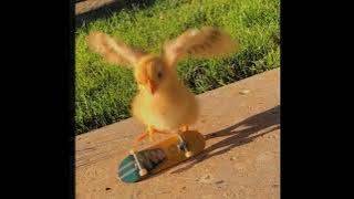 Viva la vida ~ Coldplay (sped up)