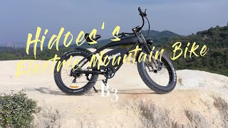 Hidoes B3 Electric Mountain Bike 1200W 48V 17.5Ah 60Kmh 26 4.0