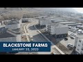 Blackstone Farms Update: January 2022