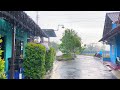 Heavy rain in a green and beautiful village||is very soothing to the eyes and mind