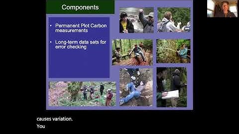 Carbon Tools 1