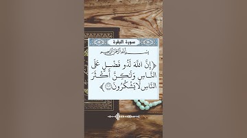 إن الله لذو فضل على الناس و لكن أكثر الناس لا يشكرون #القرآن_الكريم #راحة_نفسية #quran #تلاوات #آيات