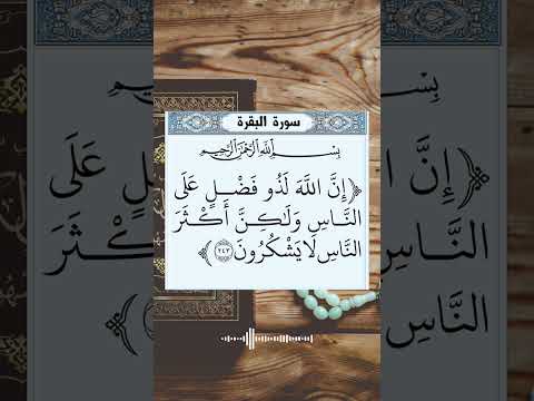إن الله لذو فضل على الناس و لكن أكثر الناس لا يشكرون القرآن الكريم راحة نفسية  تلاوات آيات