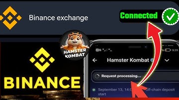 Binance Exchange Request Processing | Hamster Kombat Request Processing Problem