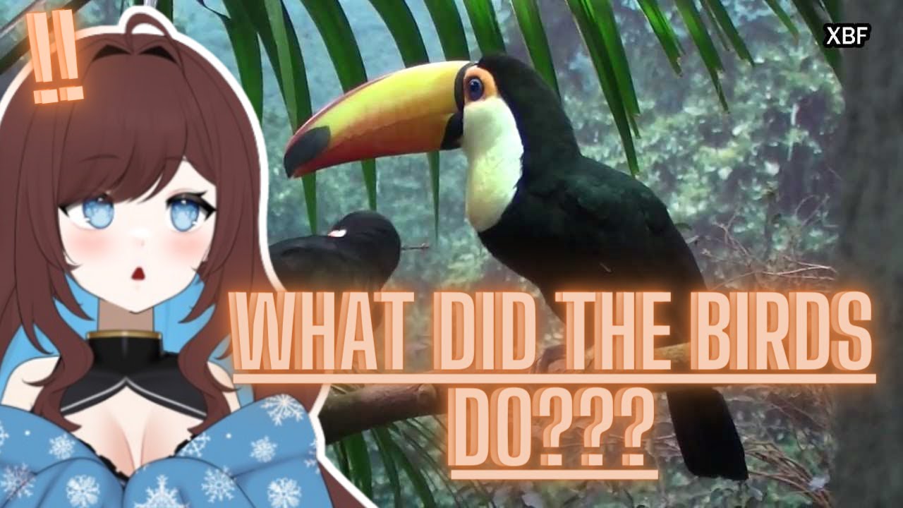 Pinebaby reacts to The one rule of nature school never taught you // Casual geographic reaction