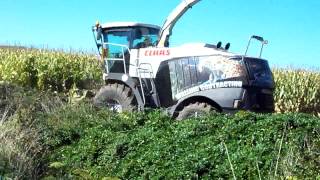 walling contracting