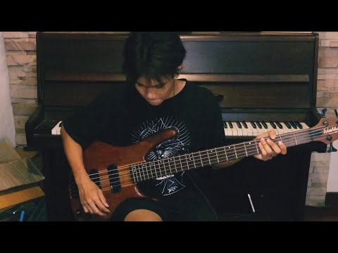 โง่   Silly Fools Bass Cover ไหนว่าจะไม่หลอกกัน  Original DrumPlaythrough