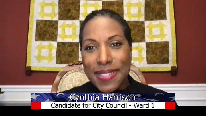 Candidates Comment, Ann Arbor City Council Primary...