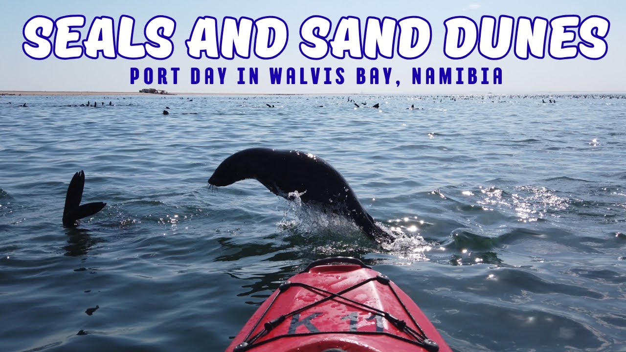 Walvis Bay Port Day - Kayaking with Seals and Sandwich Harbour