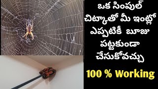 ఒక సపల చటకత ఇటల ఎపపడ బజ పటటకడ చసకవచచ How To Remove Cobwebs In Telugu