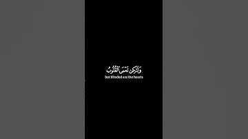 أفلم يسيروا في الأرض فتكون لهم قلوب يعقلون بها | سورة الحج | ياسر الدوسري | شاشة سوداء | كروما |