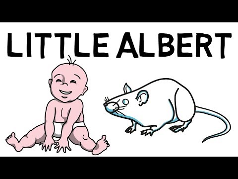 Das Little Albert Experiment erklärt (Klassische Konditionierung)