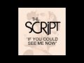 If You Could See Me Now - The Script