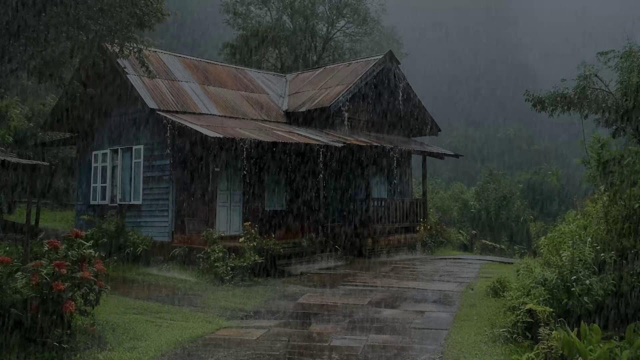 Rain ambience quieting mental waves promoting balance and peaceful sleep recovery