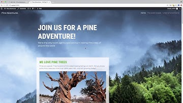Customizing Smart Actions & Conclusion - Part 12 - Creating WordPress Themes without PHP Coding