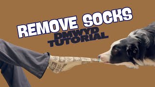 Remove Socks: DMWYD Trick Tutorial by Pam's Dog Academy 81 views 2 months ago 2 minutes, 2 seconds