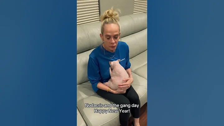 Video 6948751: sphynx cats kittens, sphynx cat happy, sphynx cats family