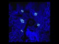 Odetari NEVER A MEMORY Official Extended 