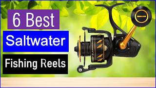 Best Saltwater Fishing Reels in 2026 | Top 6 Best Fishing Reels - Review Best Saltwater Fishing Reels in 2026 | Top 6 Best Fishing Reels - Review