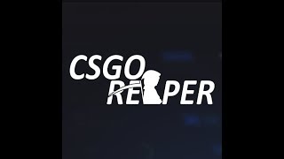 CSGOReaper script fixed (video)