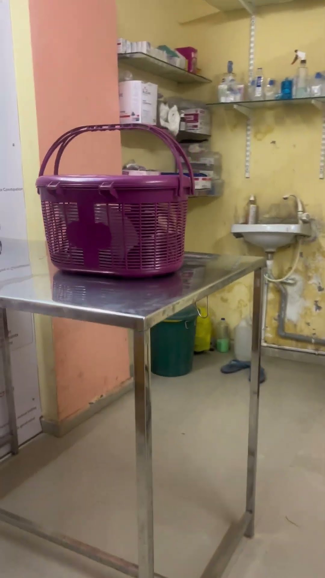 Rani ko hospital lana pada ? #shorts #youtubeshorts #viralvideo #minivloging #minivlog