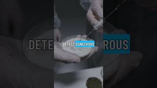 The Cells That Choose To Die #Shorts