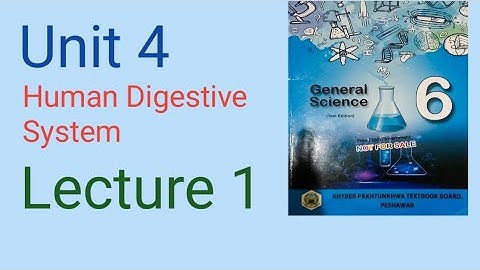 Unit 4 Human Digestive System l best lecture on human digestive system l Grade 6 l General Science