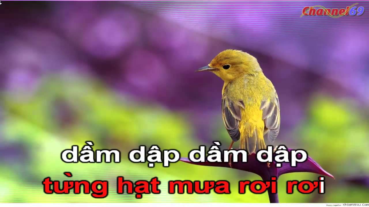 Chuon Chuon Ot - Karaoke - Beat - Ngoc Khue