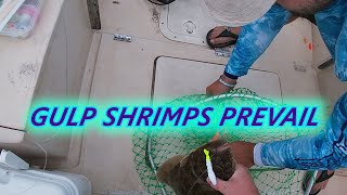 Fishing Off Barnegat Inlet NJ FLUKE August 2019